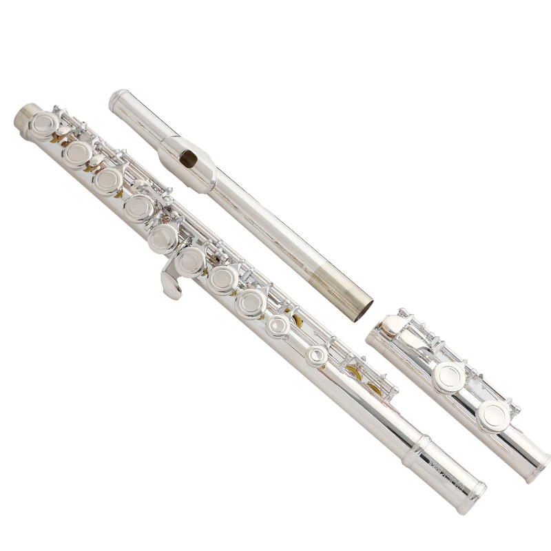 Jek Series G1ES 16 Key Closed Hole Silver Plated Flute in C