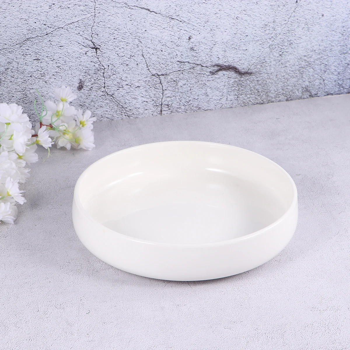 

Reptile Feeding Bowl Ceramic Durable Lightweight Feeding Container Water Dish White Diameter 21cm for Tortoises Lizards Frogs