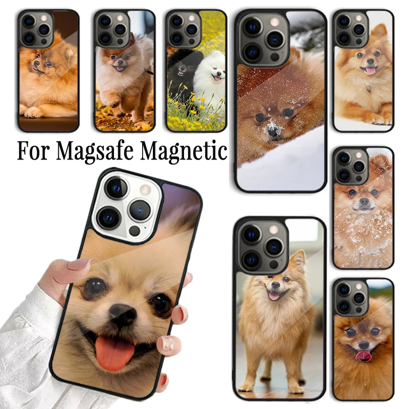 Coque Phone Case For iPhone 16 15 14 13 12 Mini 11 Pro Max Plus Magsafe Magnetic Wireless Charging Cover Pomeranian dogs dog