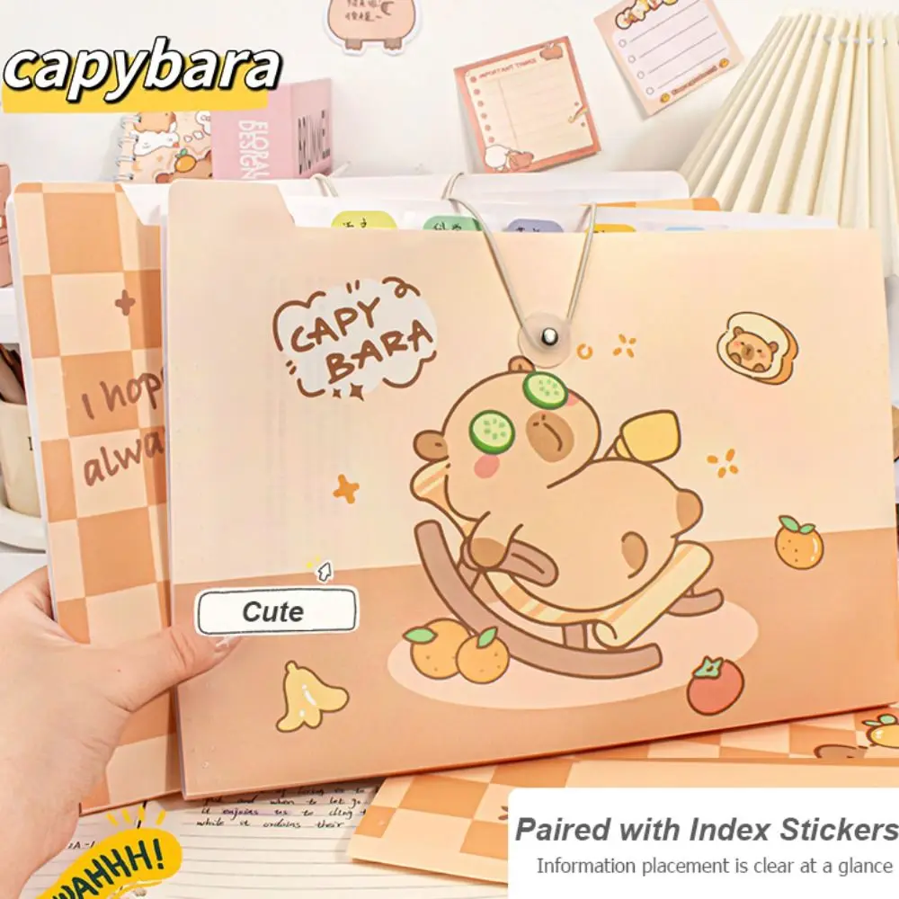 

Cute Capybara A4 File Folder Cartoon Creative Test Paper Storage Folder 8/12 Pockets PP Envelope Folder