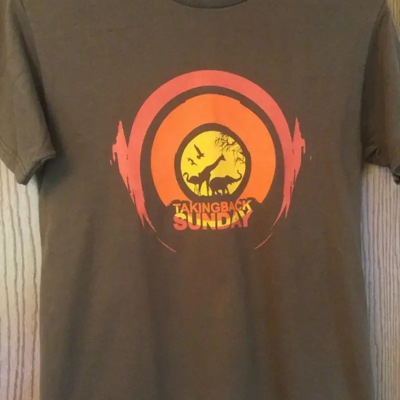 Taking Back Sunday Brown T Shirt M Fruit Of The Loom
