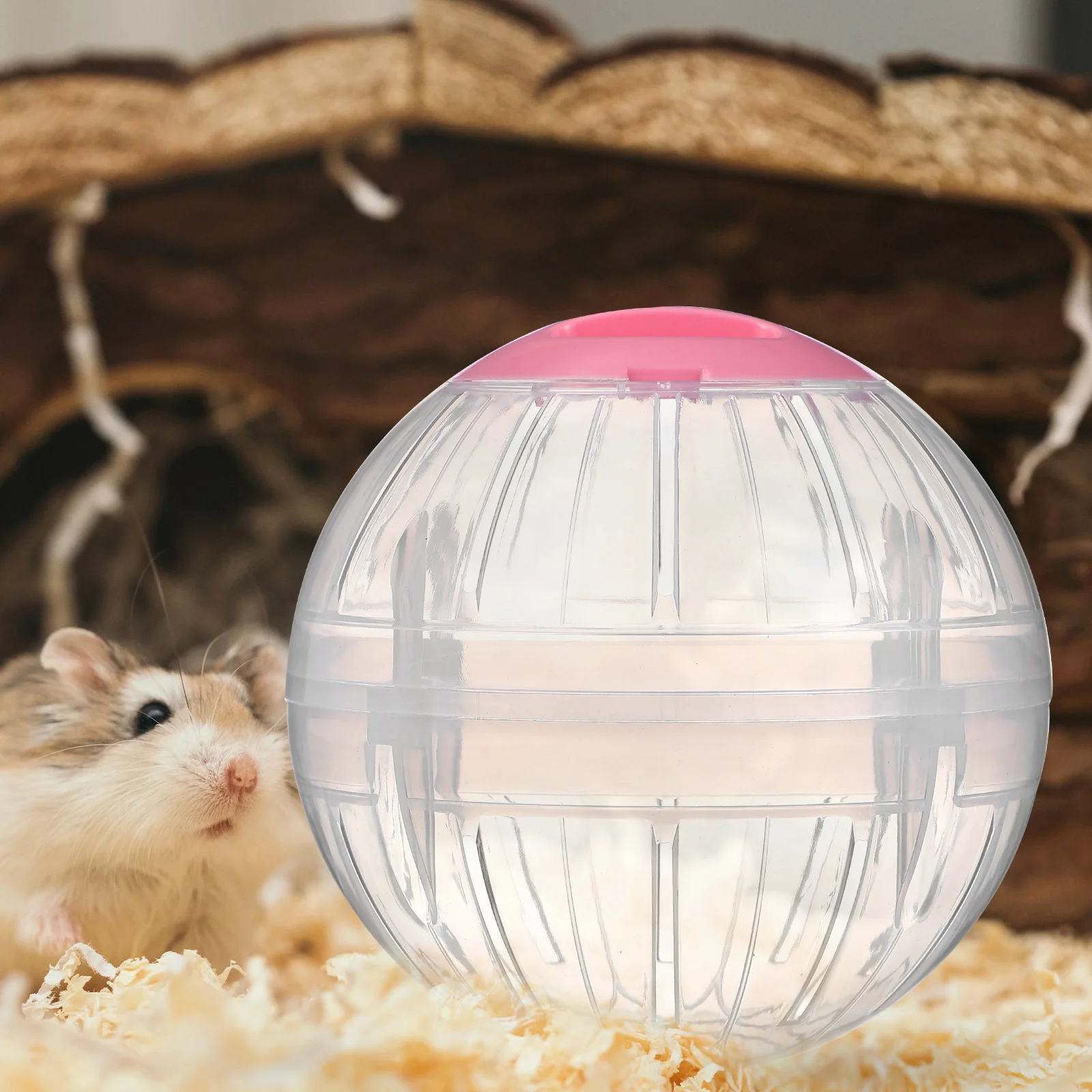 2 Pcs Jogging Balls for Hamster Sports Small Animals Exercisers Plastic Running Fitness Toys