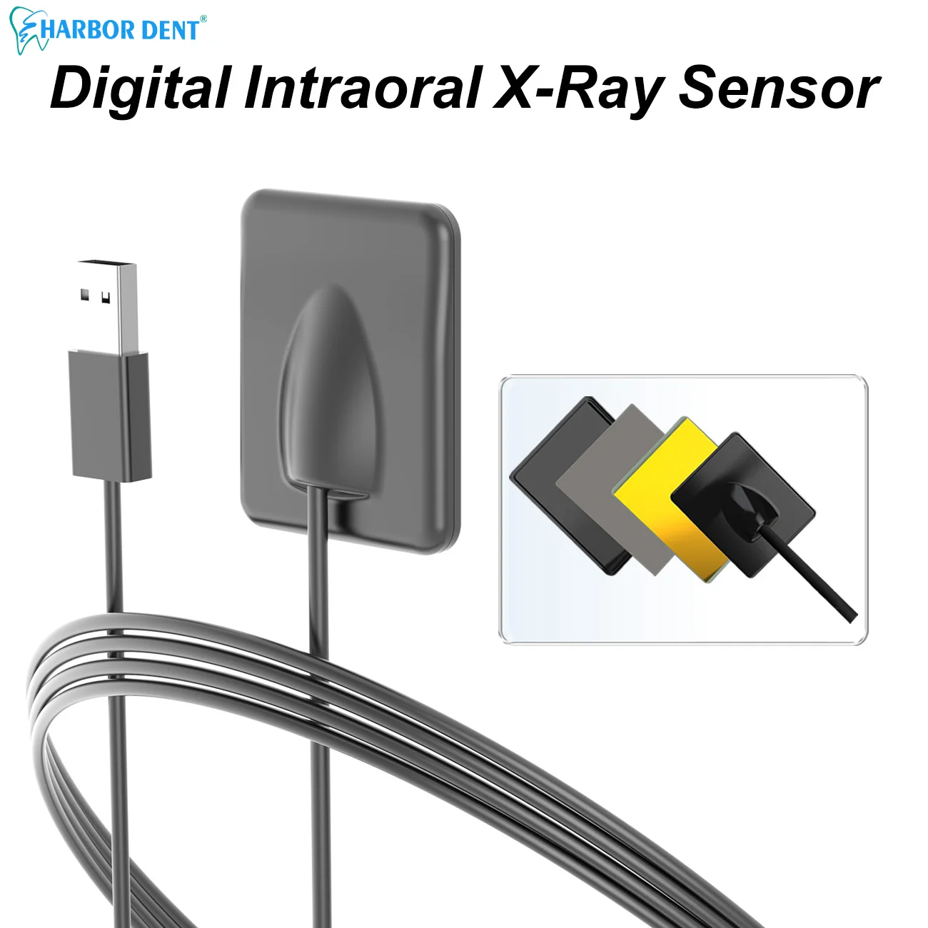 Dental Sensor with Holder Faster Durable USB Dentist X-Ray Oral Sensor Intraoral Camera Digital RVG Sensor 2-Year Warranty