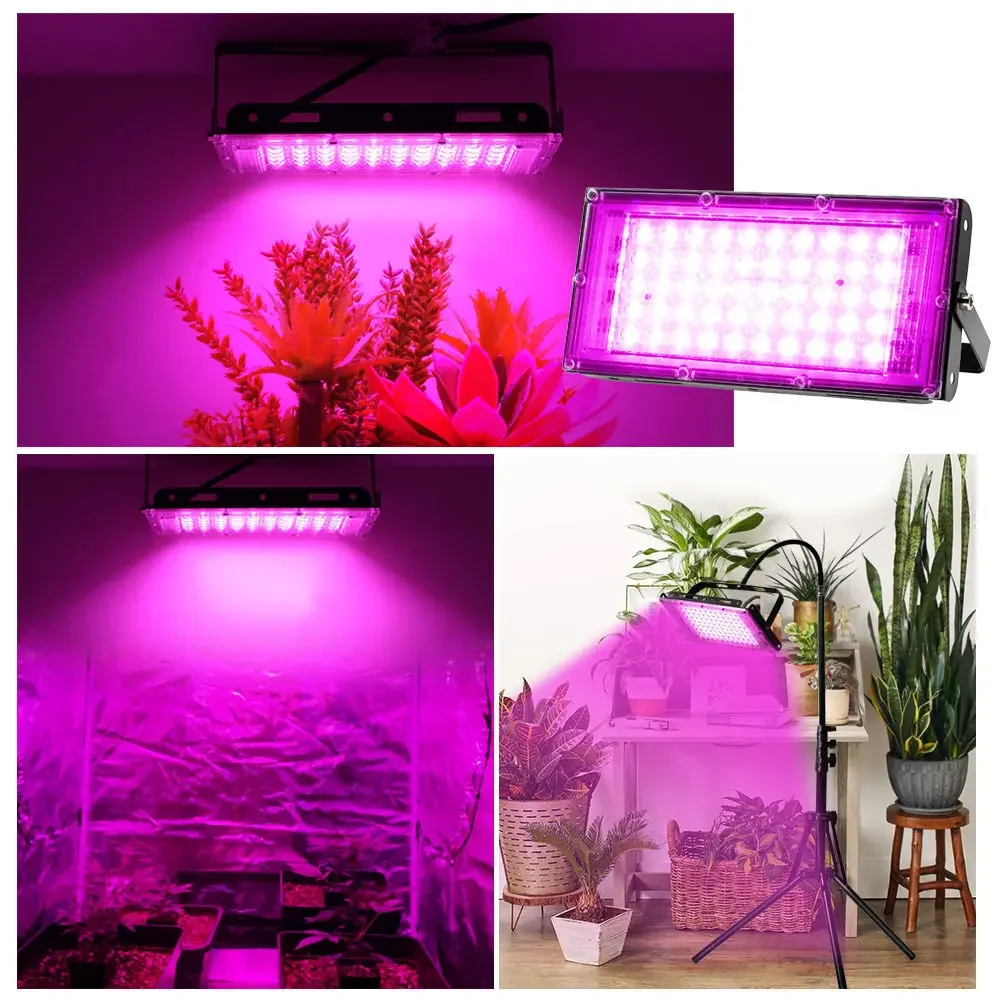 LED Grow Light Phyto Lamp AC 220V 50W LED proiettore a spettro completo Indoor Outdoor serra pianta idroponica faretto per piante