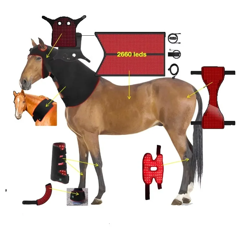 660nm 850nm Horse Leg Wraps Back Led Red Light Near Infrared Pet Therapy Pad Machine Boot Horse Set Battery Operated