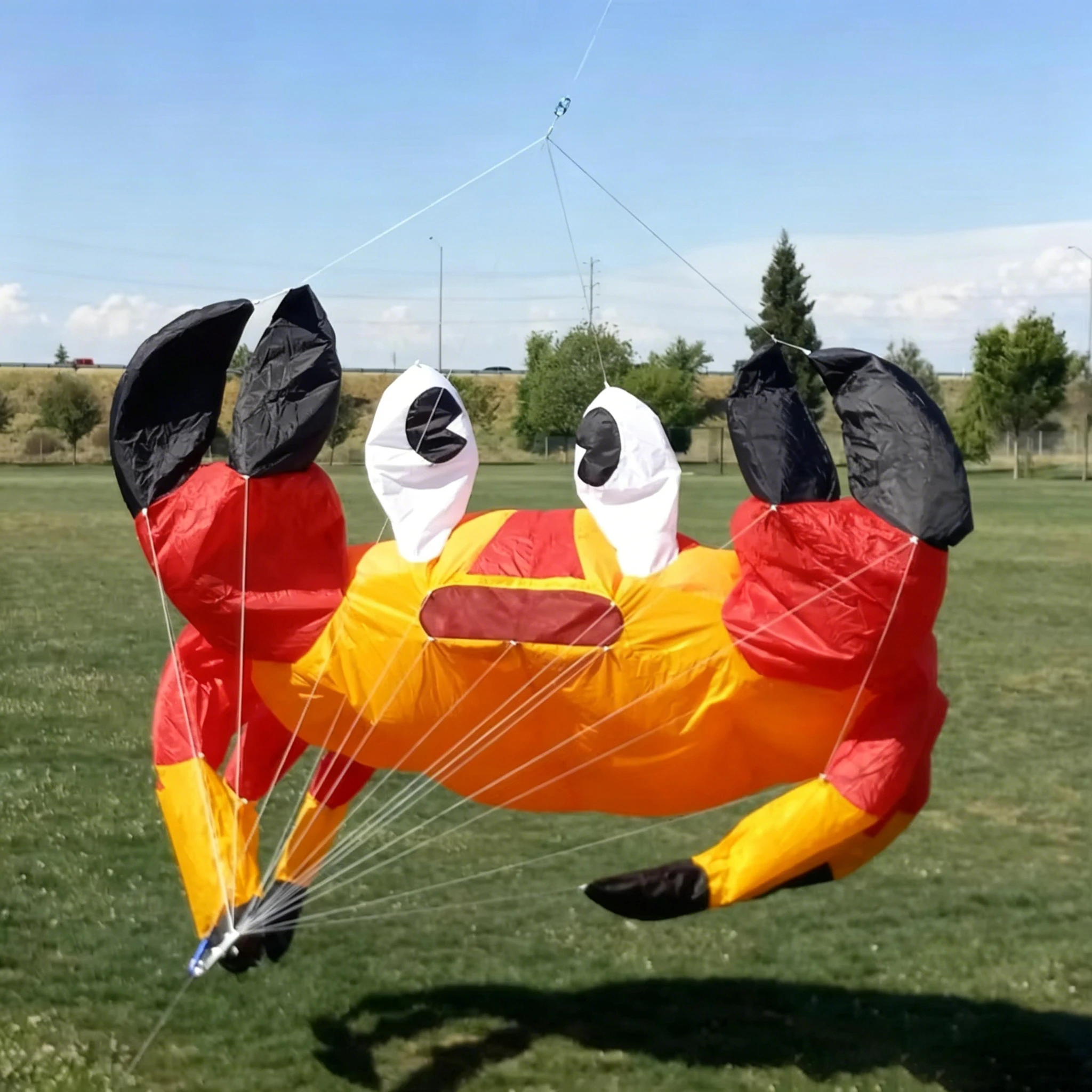

3.2m Crab Kite | Inflatable Soft 30D Ripstop Nylon Show Kite with Line & Carry Bag, Perfect for Kite Festivals