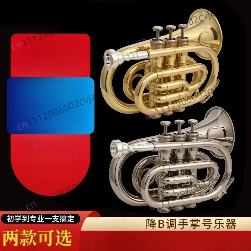 Concerto for Hand Percussion in D-flat Major - Student Beginner Level Examination and Professional Teaching for Performance