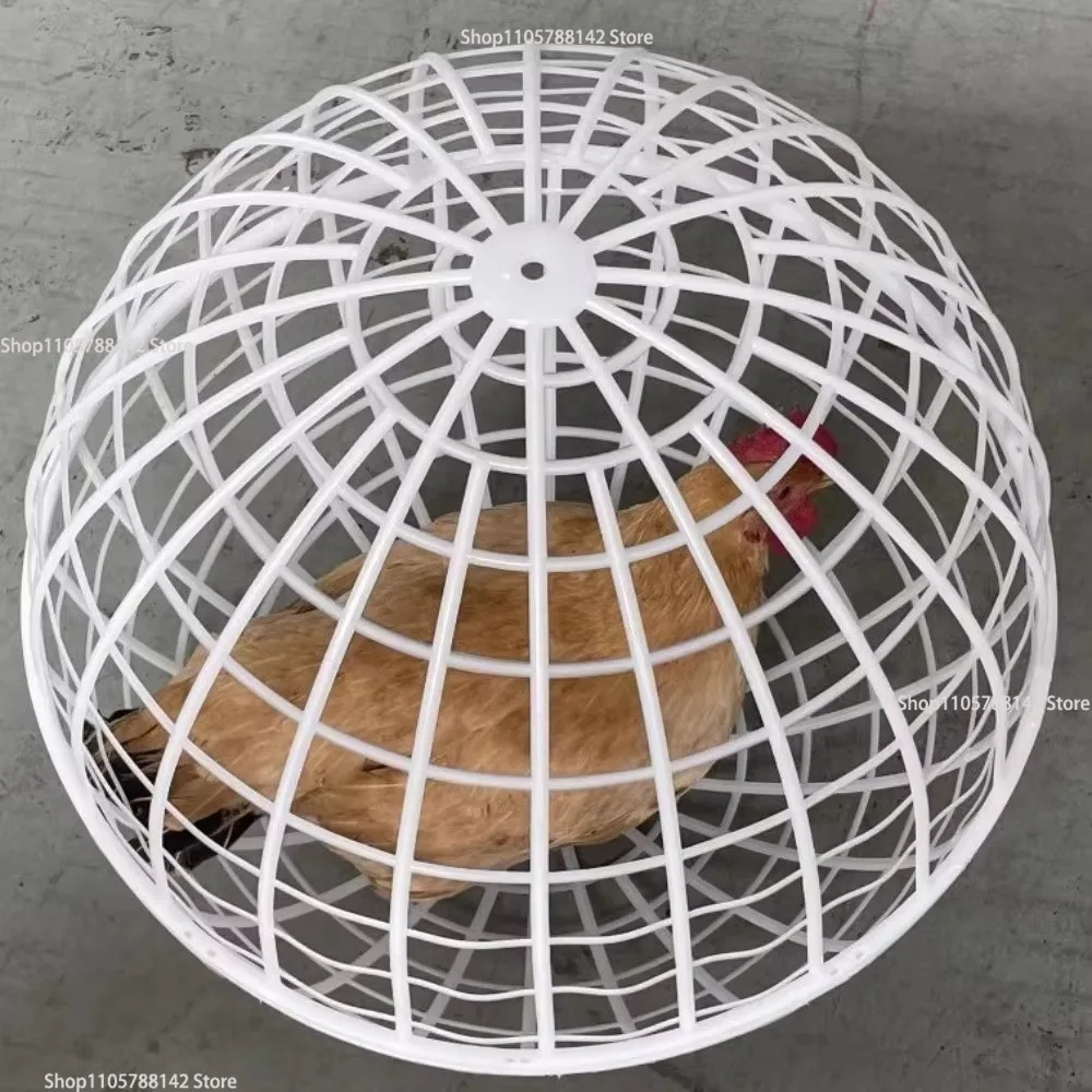2027 Outdoor Walkable Rolling Chicken Ball Cage Portable Poultry Run Coop Anti-escape Enclosure For Duck Goose Small Pets
