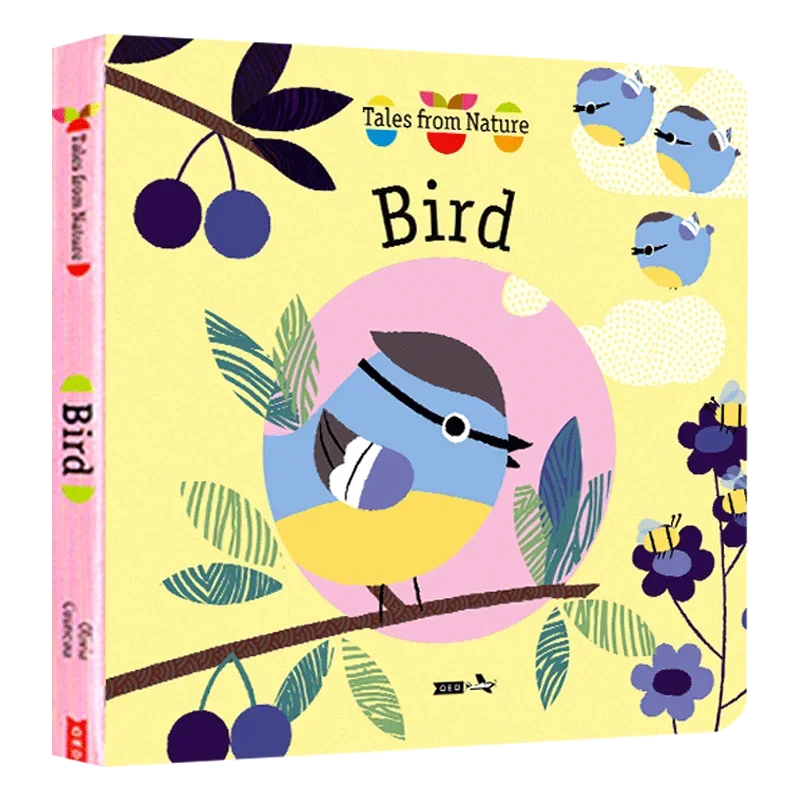 Bird Tales from Nature, Baby Children's books aged 1 2 3, English picture book, 9781784932572