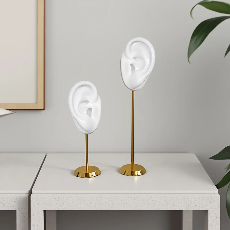 Ear accessory display stand, silicone ear model, puncture and ear picking teaching headphones, hearing aid display stand