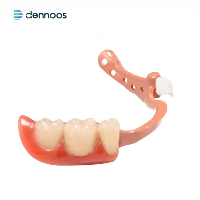 Afbeelding 6: Tandtechnisch Laboratorium PEEK Blokken 98mm Nature/Geel/Gingivale/Wit voor CAD CAM Bewerking Tandarts Materialen PEEK Odontologie Producten