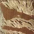 Golden Tiger Spot