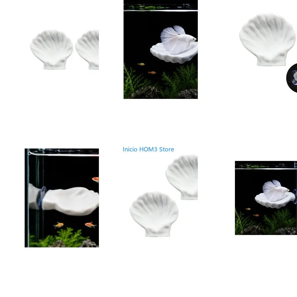 A5YD Natural Shell Fish Tanks Decoration Bettas Safe Resting Bed Bettas Hammocks