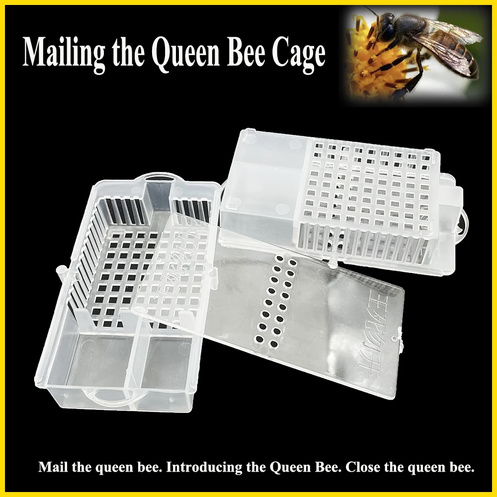 

8PCS Transparent Beekeeping Queen Bee Prisoner Cage New Transit Delivery Post Virgin Quee Mail Box Large Space Tool Supplies