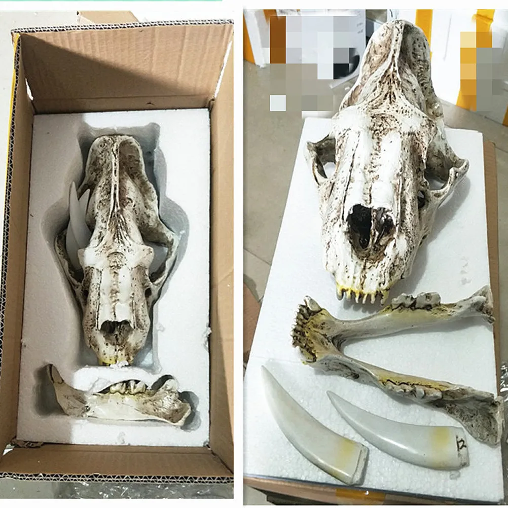 Tiger Skull Supply Resin Craft Statue Halloween Decoration Art Collection Appreciation Festival Business Souvenir