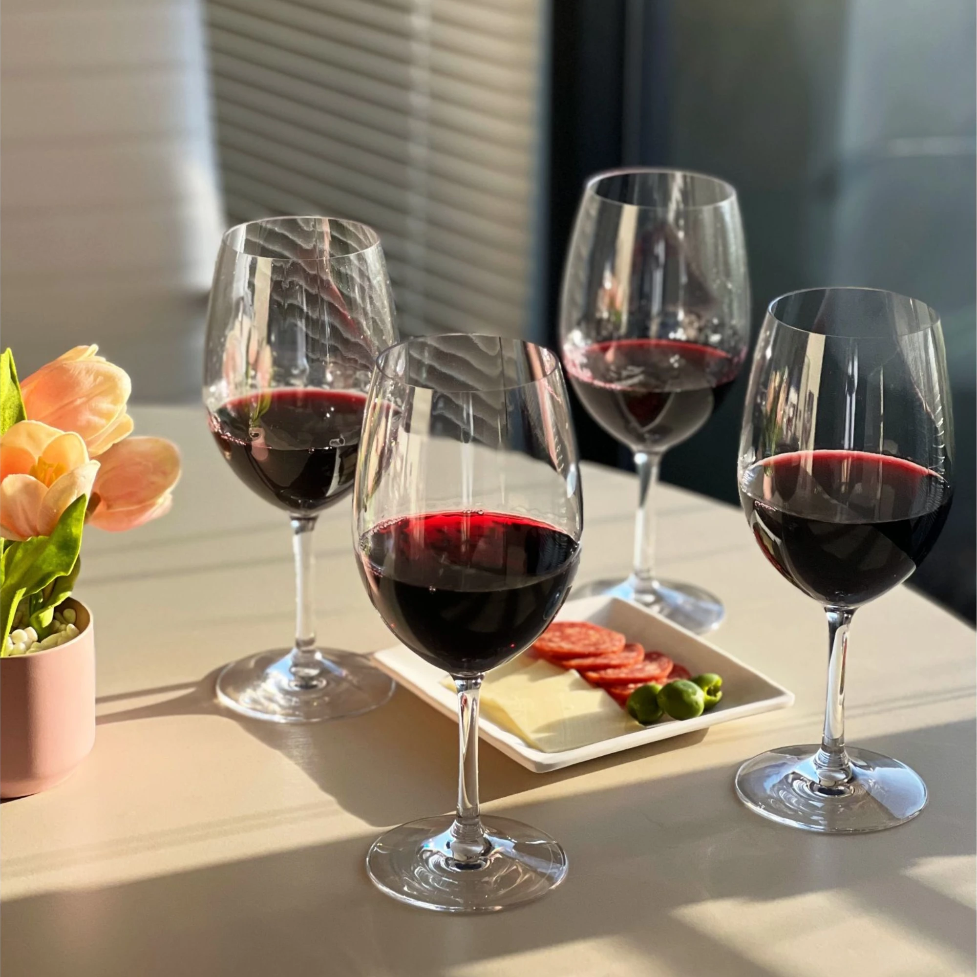 

Dishwasher Don Drinking Entertaining Glasses Just Stemmed wine Wine Wine glasses Worry Plastic Wine Glasses Set of 4 (20oz), BPA