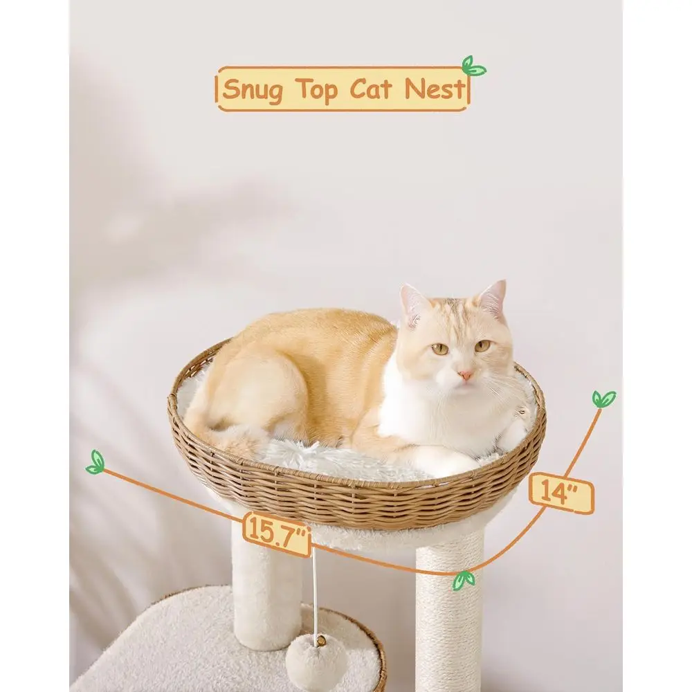 description