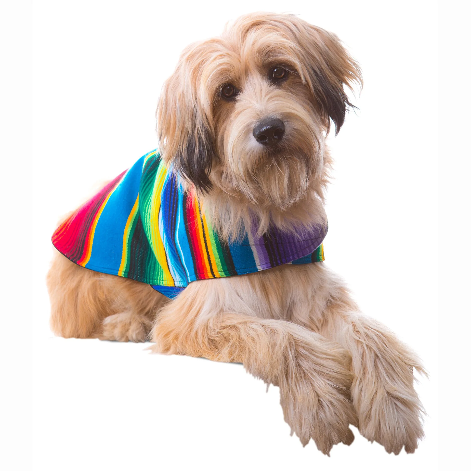 Dog Clothes Funny Dress up Dog Apparel Mexican Dog Poncho Pet Costume Pet Cloak for Carnival Party Holiday Halloween Decoration