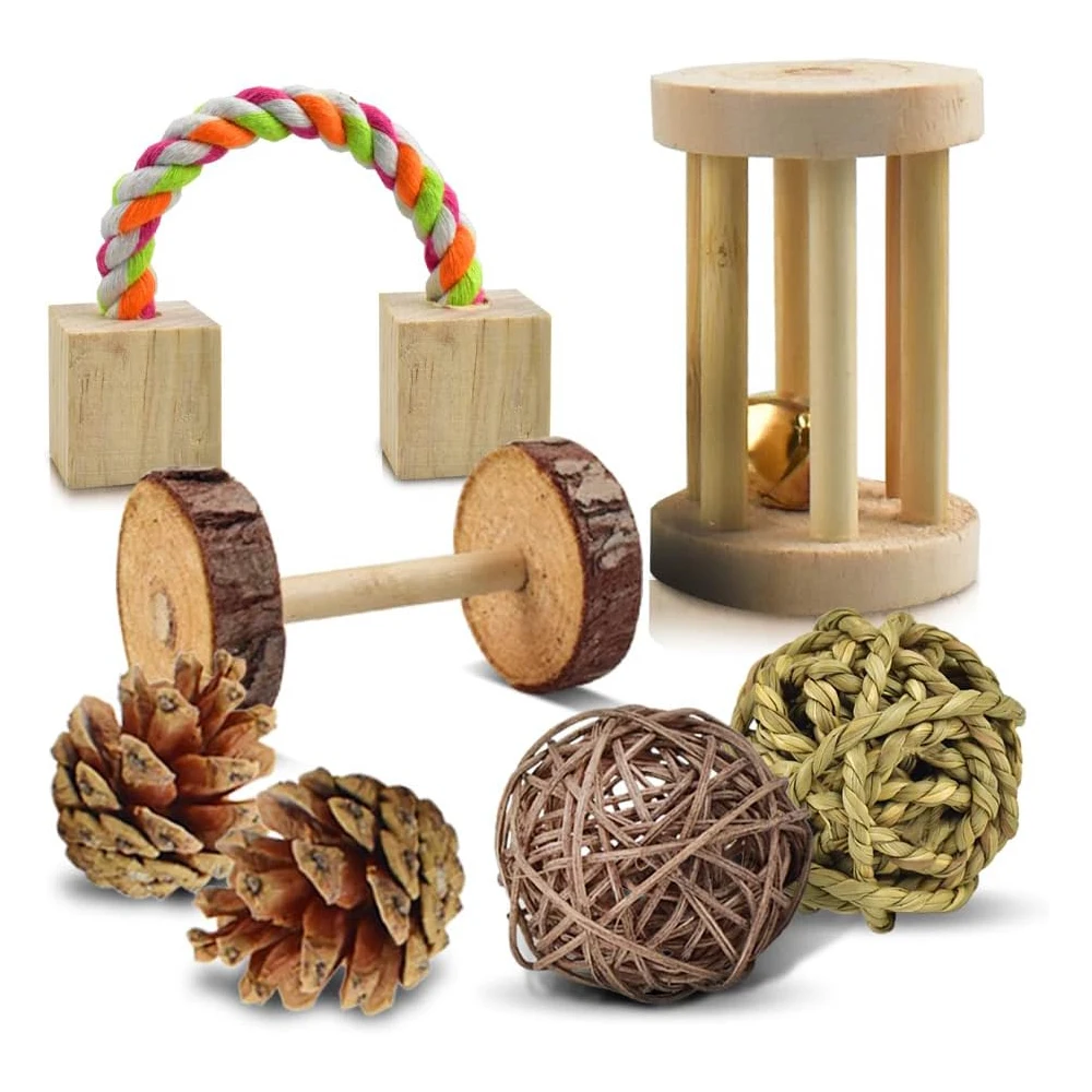 Thumbnail 4 - #13 Trending Small Animal Supplies Right Now