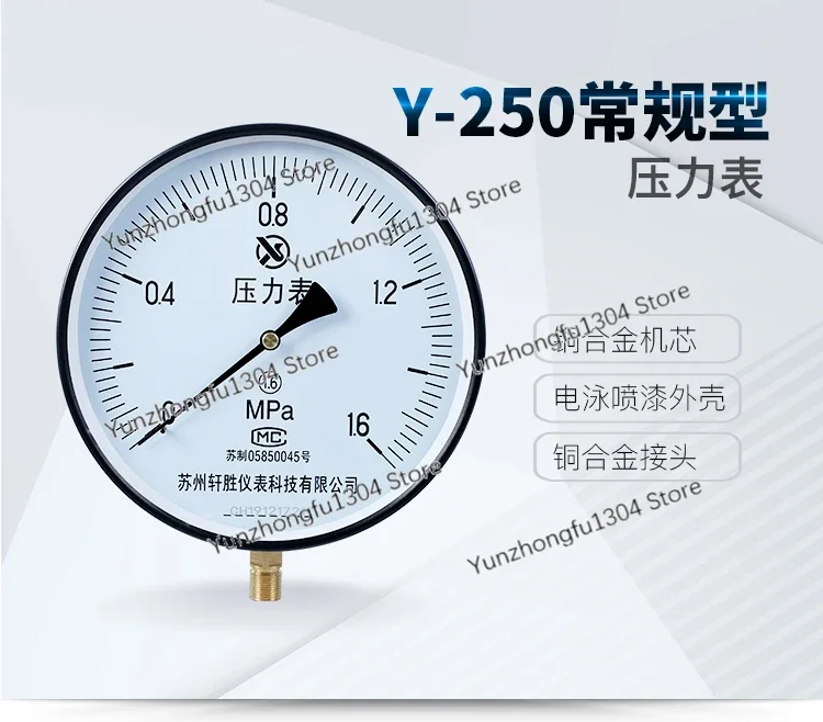 Y250 1.6mpa Ordinary Steam Boiler Pressure Gauge Diameter 250mm Pressure Gauge
