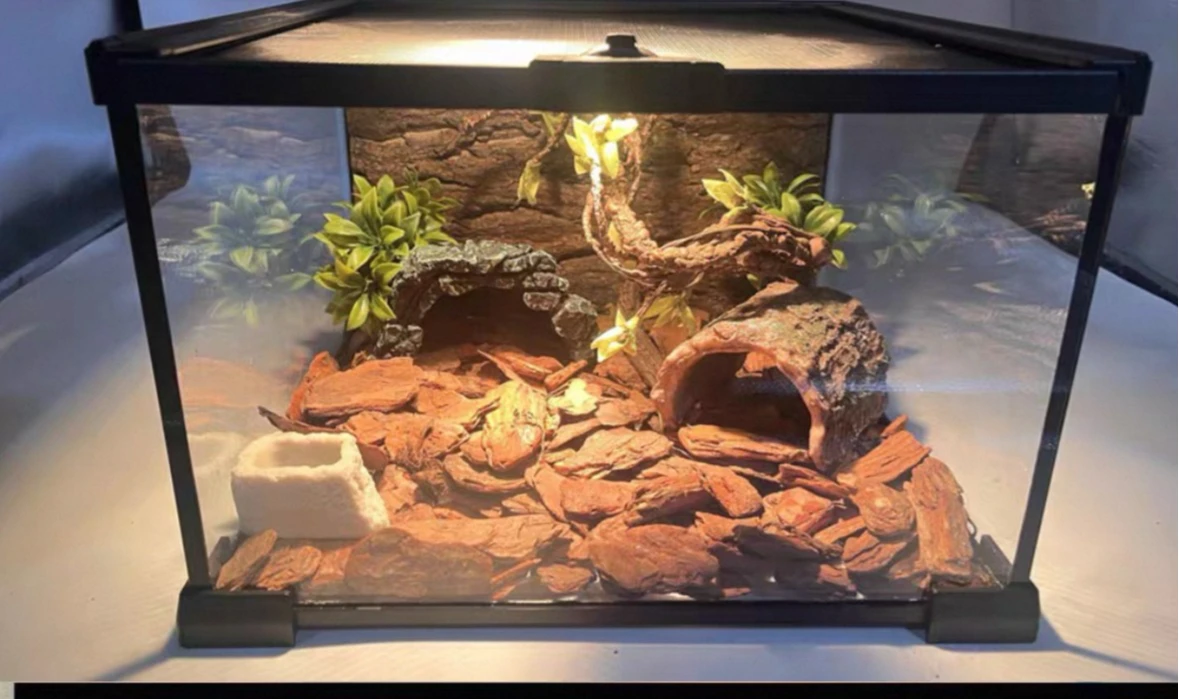

Climbing Pet Feeding Box Ecological Rainforest Landscaping Glass Tank Lizard Horned Frog Tree Frog Hermit Crab