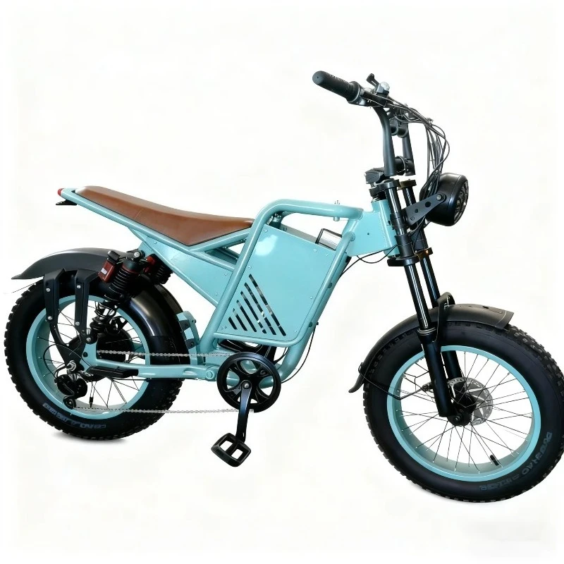 

Rugged 48V Electric Mountain Bike: Pro-Grade Aluminum Frame & Dual Suspension for Tough Terrain