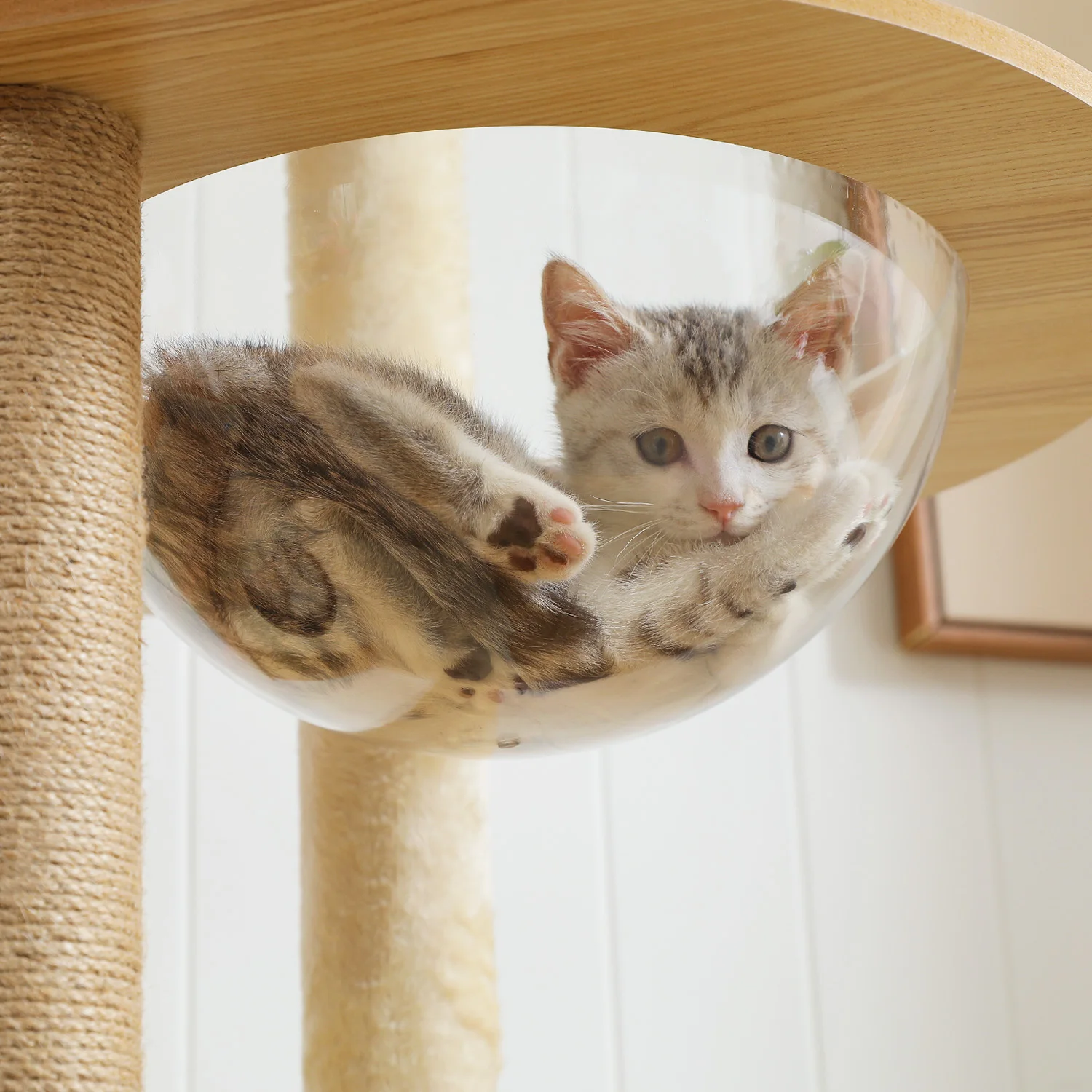 Thumbnail 3 - #2 Latest Cat Furniture Offers
