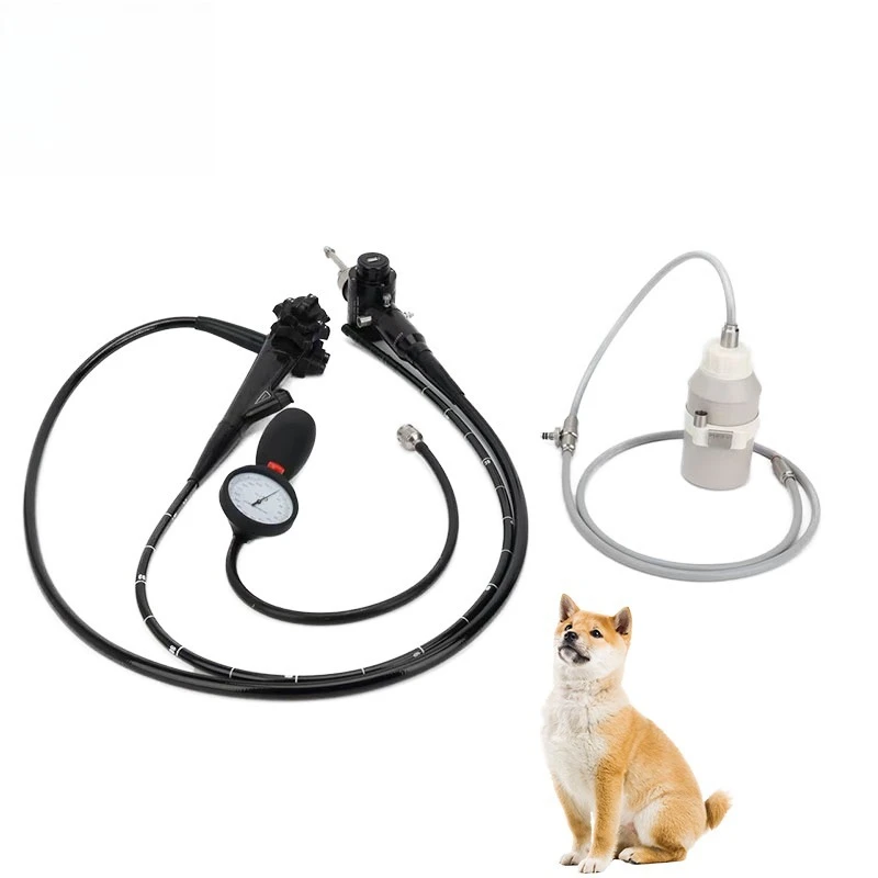2026 Flexible Endoscope Veterinary Equipment Portable Endoscope Camera for Animal Hospital Commercial Equipment and Animal Care