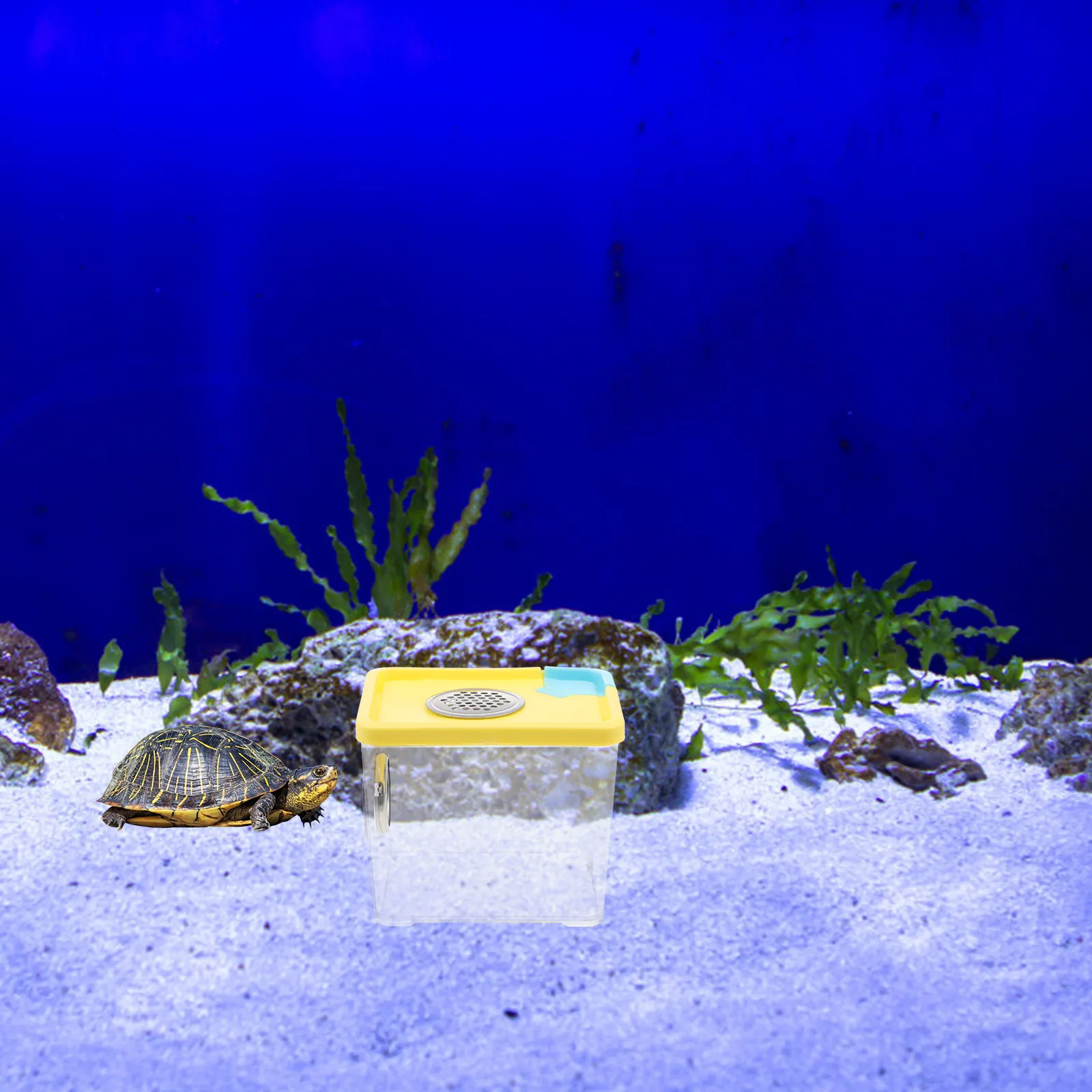 

Spider Box Transparent Reptile Feeding Container For Small Animals Lightweight Breathable Pet Breeding Cage Clear Habitat