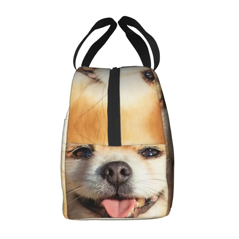 Bolsa de almuerzo con aislamiento alemán Spitz Puppy para mujer, bonita lonchera térmica con lengua de perro Pomerania, ideal para acampar en la playa y viajar