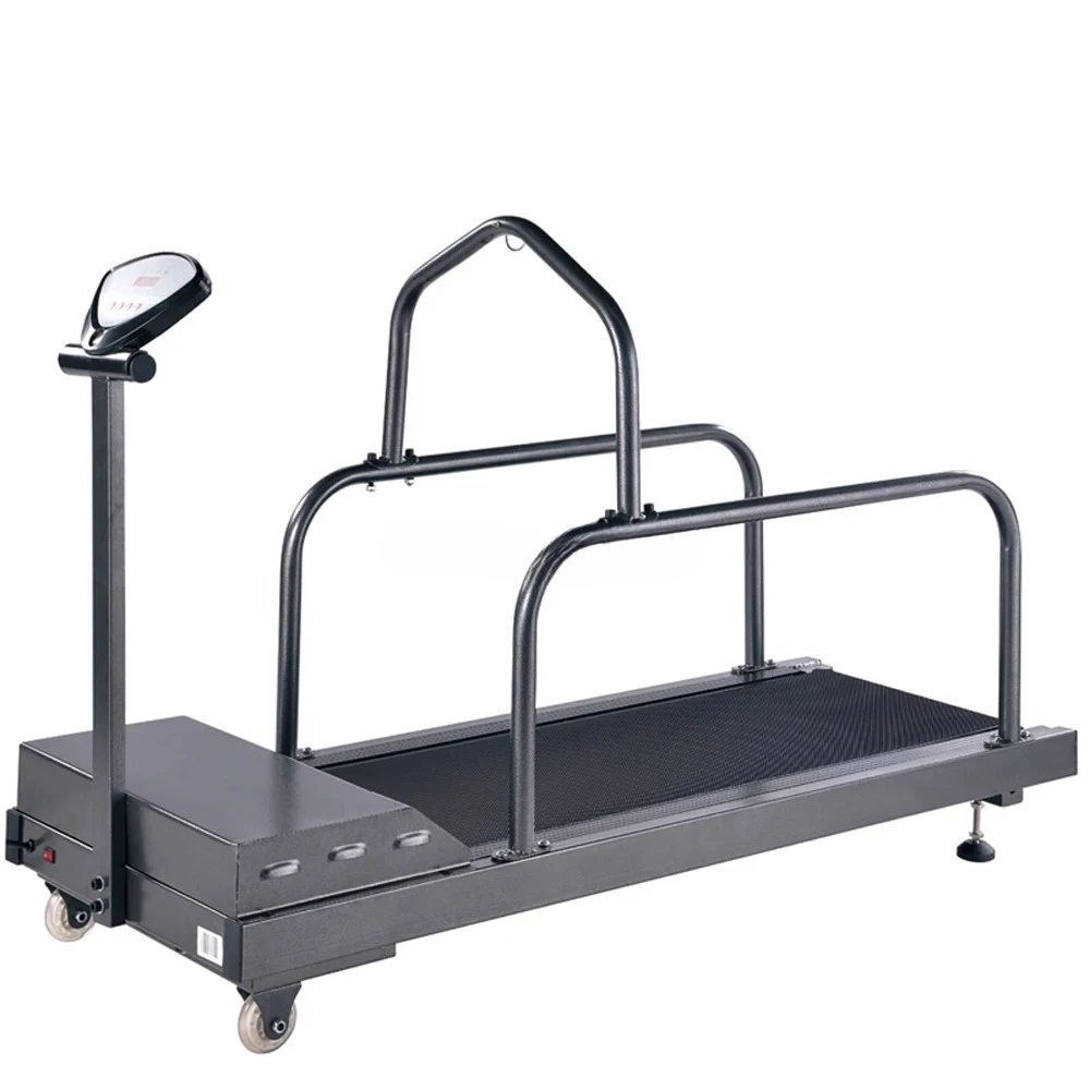 Pet treadmills for large, medium, and small dogs are used for animal training equipment and walking dogs