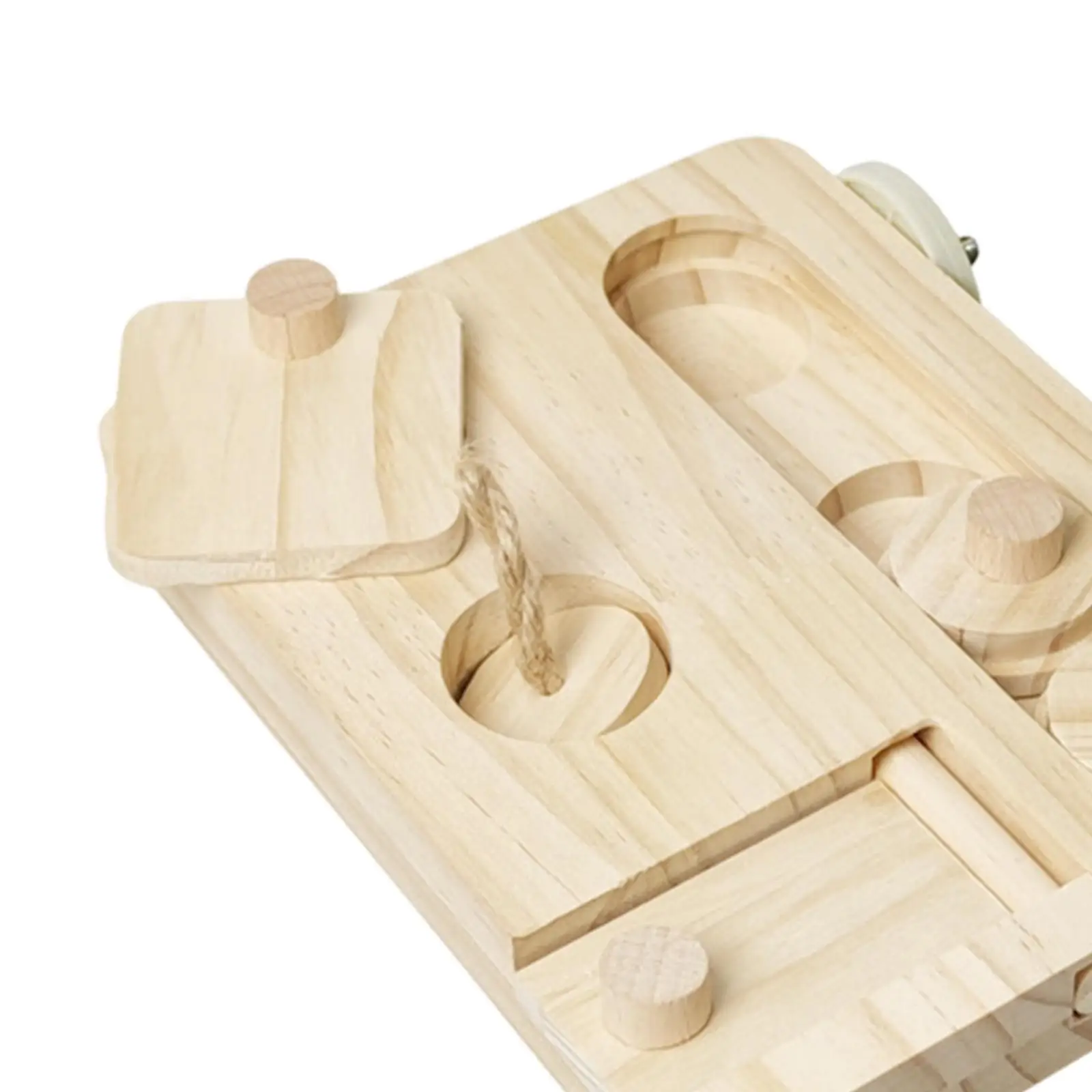 Fotografia 6: Brinquedo de Caça ao Alimento para Pássaros, Jogo de Forrageamento, Brinquedo Mental para Conures e Hamsters