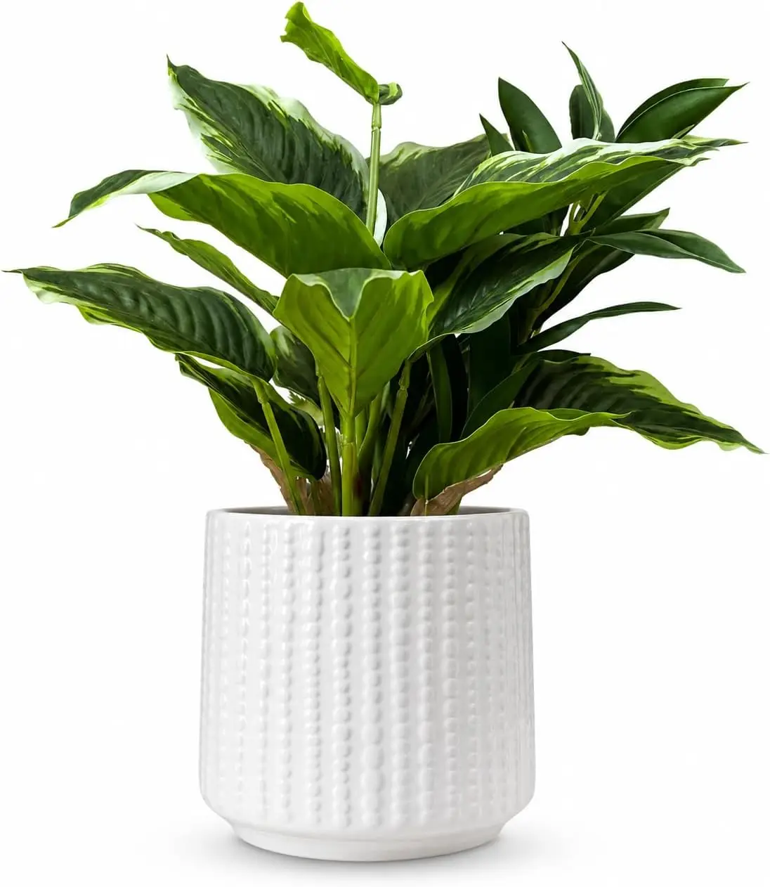 Ceramic Planter Pot with Drainage Hole, 5 Inch Dia, Indoor and Outdoor, Home Patio Garden(White)