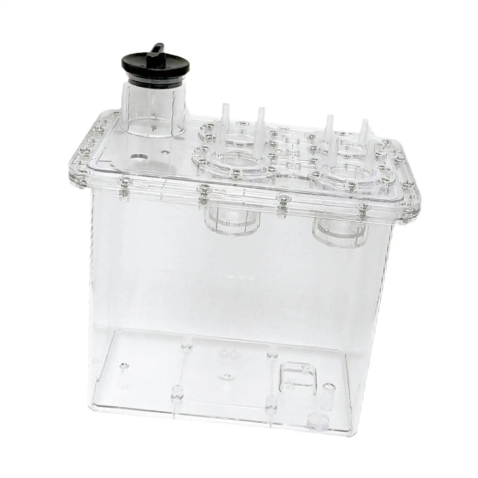 ガス水分離一体型水タンク 丈夫なプロフェッショナル 実用的 3L