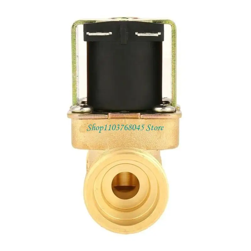 r53f-電気電磁弁磁気-dc12v-24v-ac220v-水空気入口フロースイッチ