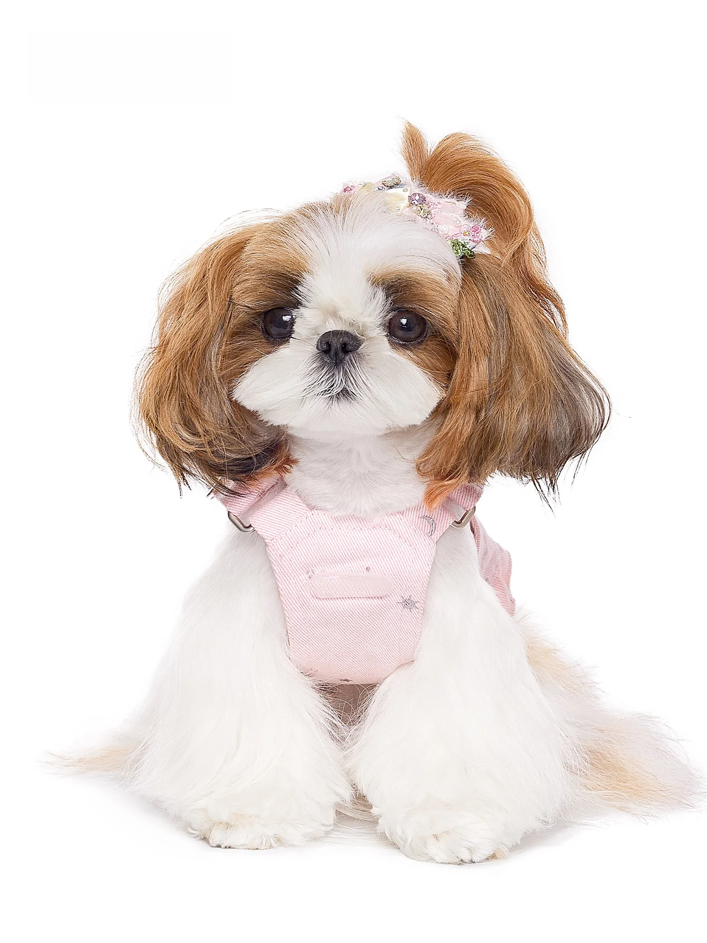 mooki-pet-summer-dog-dress-skirt-casual-polyester-denim-pulling-harness-for-small-breeds-such-as-bichon-and-maltese