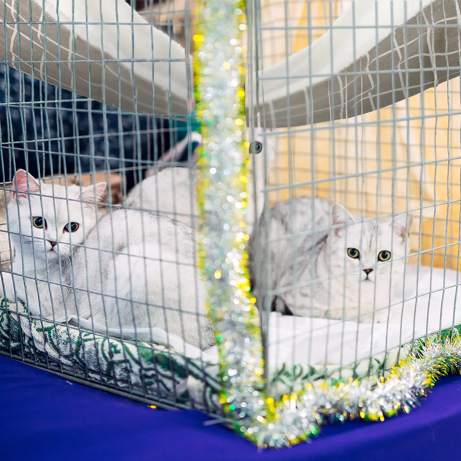 2 Pieces Reversible Cat Hanging Hammock Soft Breathable Pet Cage Hammock with Adjustable Straps Double Sided Hanging Bed ﻿