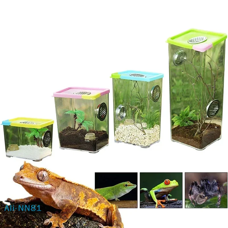 【N】Caja de cría transparente acrílica para Reptiles, arañas, lagartos, insectos, Mantis, jaulas para mascotas, accesorios para reptiles