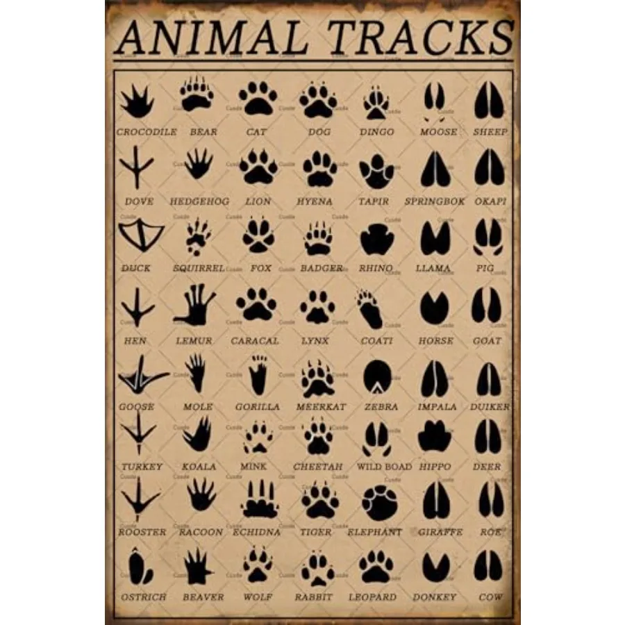 Cusde Animal Tracks… - image