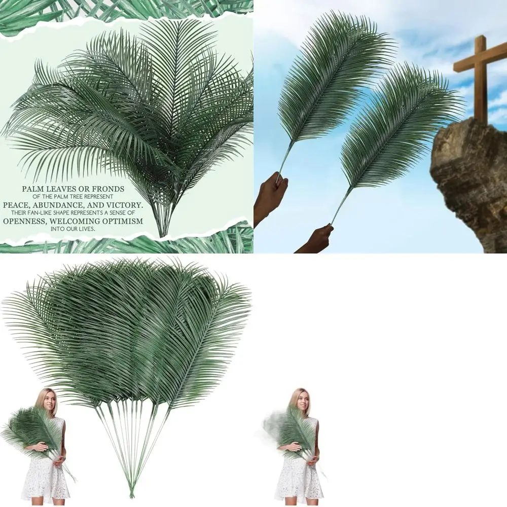 

Set of 50 Large 31 Palm Leaves for Feast of Tabernacles, Luau, Safari, Jungle, and Beach Parties