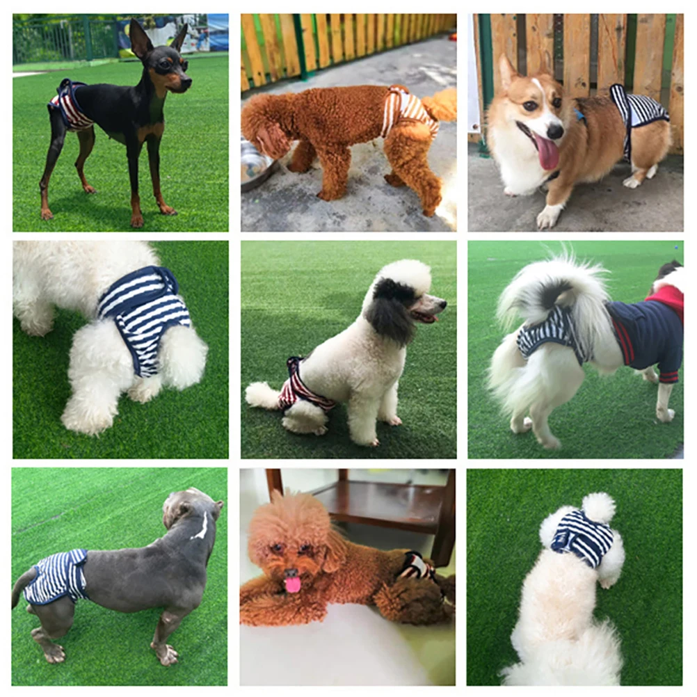 

2pcs Pet Diaper Dog Sanitary Pants Reusable Puppy Diapers Female Dog Physiological Underwear Leakproof Washable For Estrus