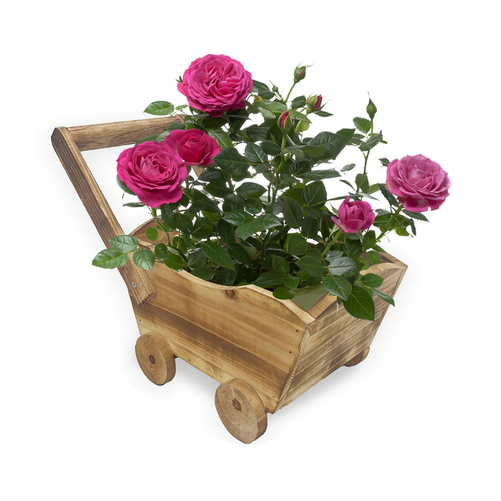 

Wooden Flower Pot Creative Cart Shaped Plant Planting Basin For Flower Succulent Plants Horticulture Gardening Accessories
