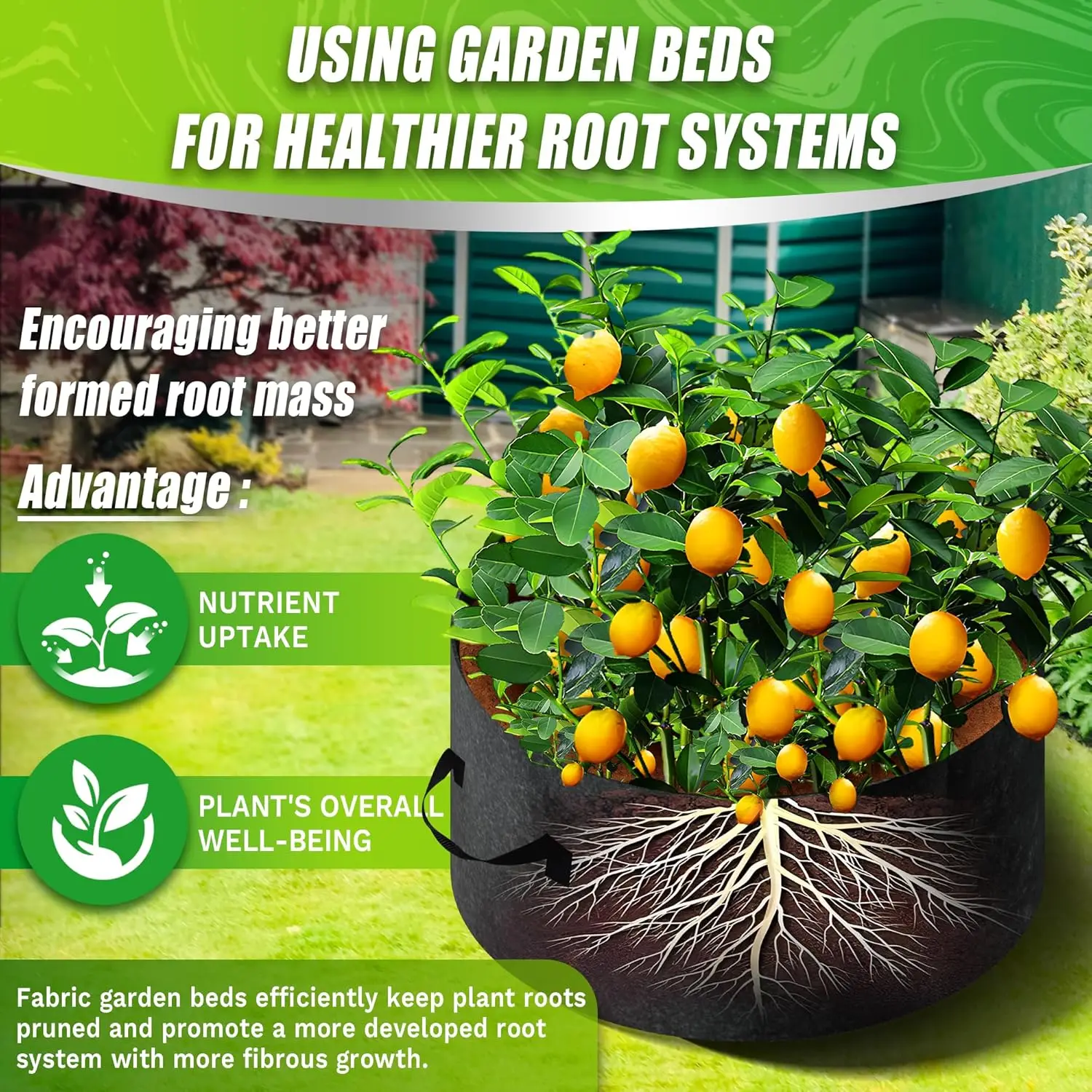Fabric Raised Garden Bed 2