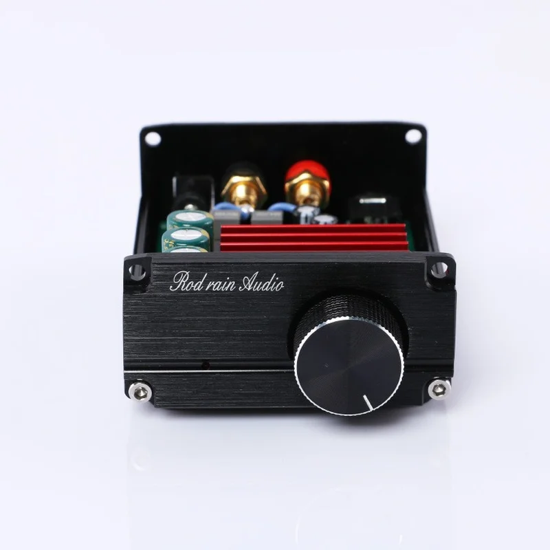 12 فولت 24 فولت TPA3116 100 واط مضخم صوت مكبر كهربائي مجلس الصوت المسرح المنزلي TPA3116D2 مونو مكبرات الصوت الرقمية باس أمبير