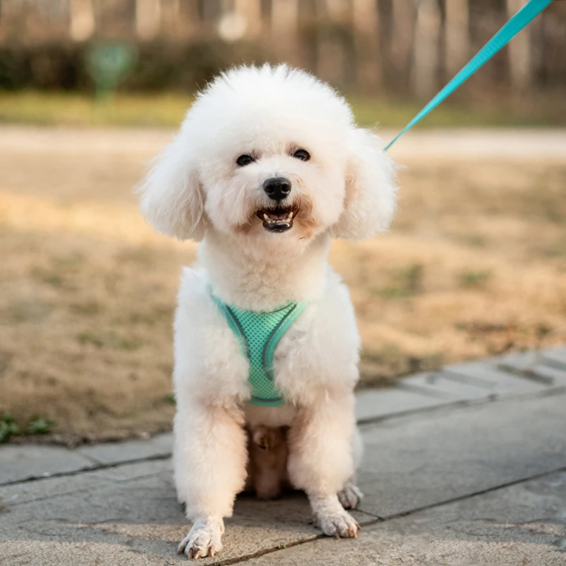 Chaleco transpirable para perros para mascotas, faja pectoral, correas traseras, previene el ruptura, exclusivo para uso en exteriores, reflexión nocturna ajustable