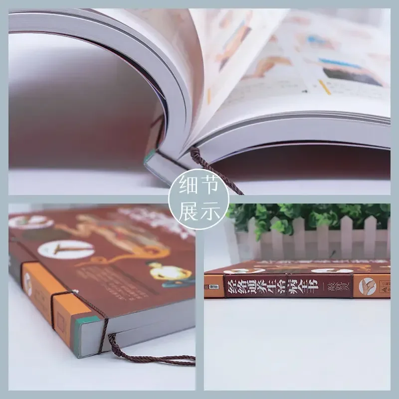 Complete book of health preservation and treatment of meridians and collaterals traditional Chinese Medicine Health care