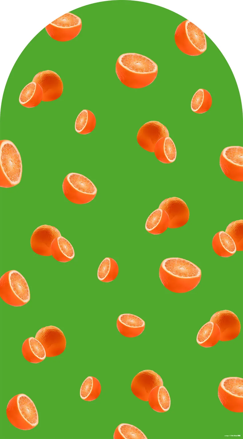 خلفية حائط مقوسة برتقالية من Mehofond، كتي صغير موجود على الطريق، صورة استحمام الطفل، صورة كيارا، خلفية على الوجهين