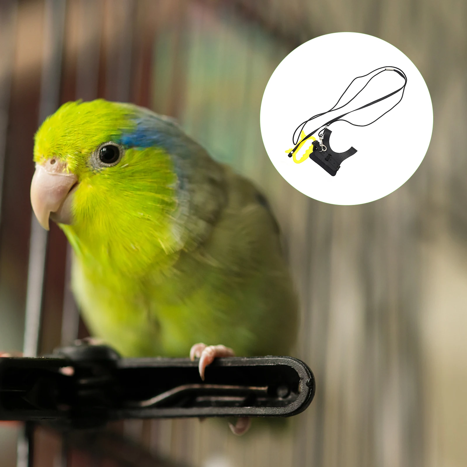 

Parrot Flight Vest Bird Harness Leash Flying Training Outdoor Safe Distance Adjustable Strap Quality Material Long Life Easy On