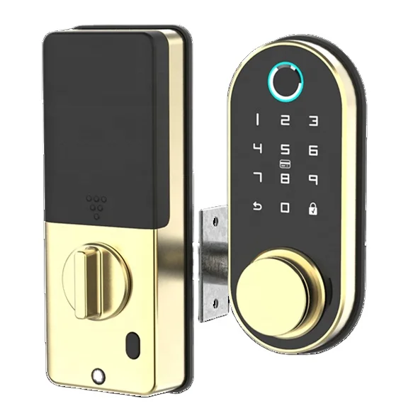 High Security Anti Theft Automatic Handles Lock Interior Door Locks Smart Door Locks