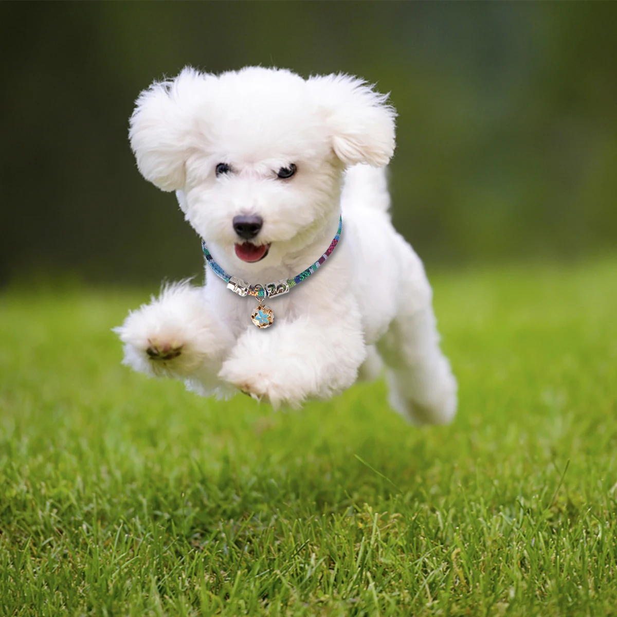 

1Pcs Adjustable Bohemian Cat Collar Breakaway Safety Buckle with Bell Ethnic Pet Necklace for Kitten Comfortable Lightweight